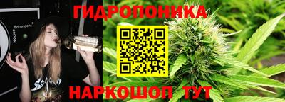 молекула духа Бердск