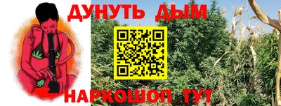 молекула духа Бердск
