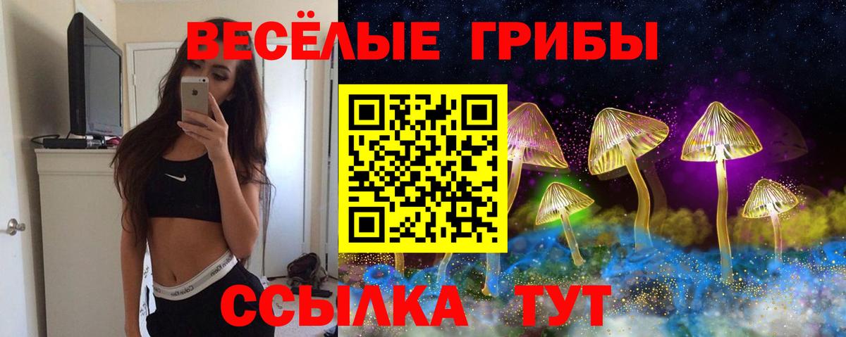 Псилоцибиновые грибы Cubensis  Вход с VPN  Вышний Волочёк  Псилоцибиновые грибы Psilocybine cubensis 