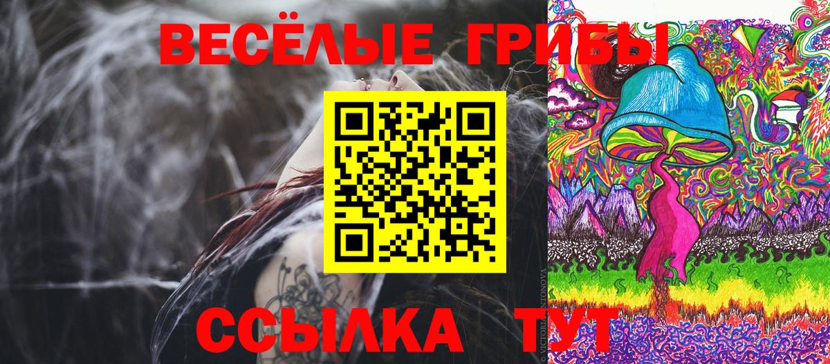 Псилоцибиновые грибы Cubensis Вышний Волочёк